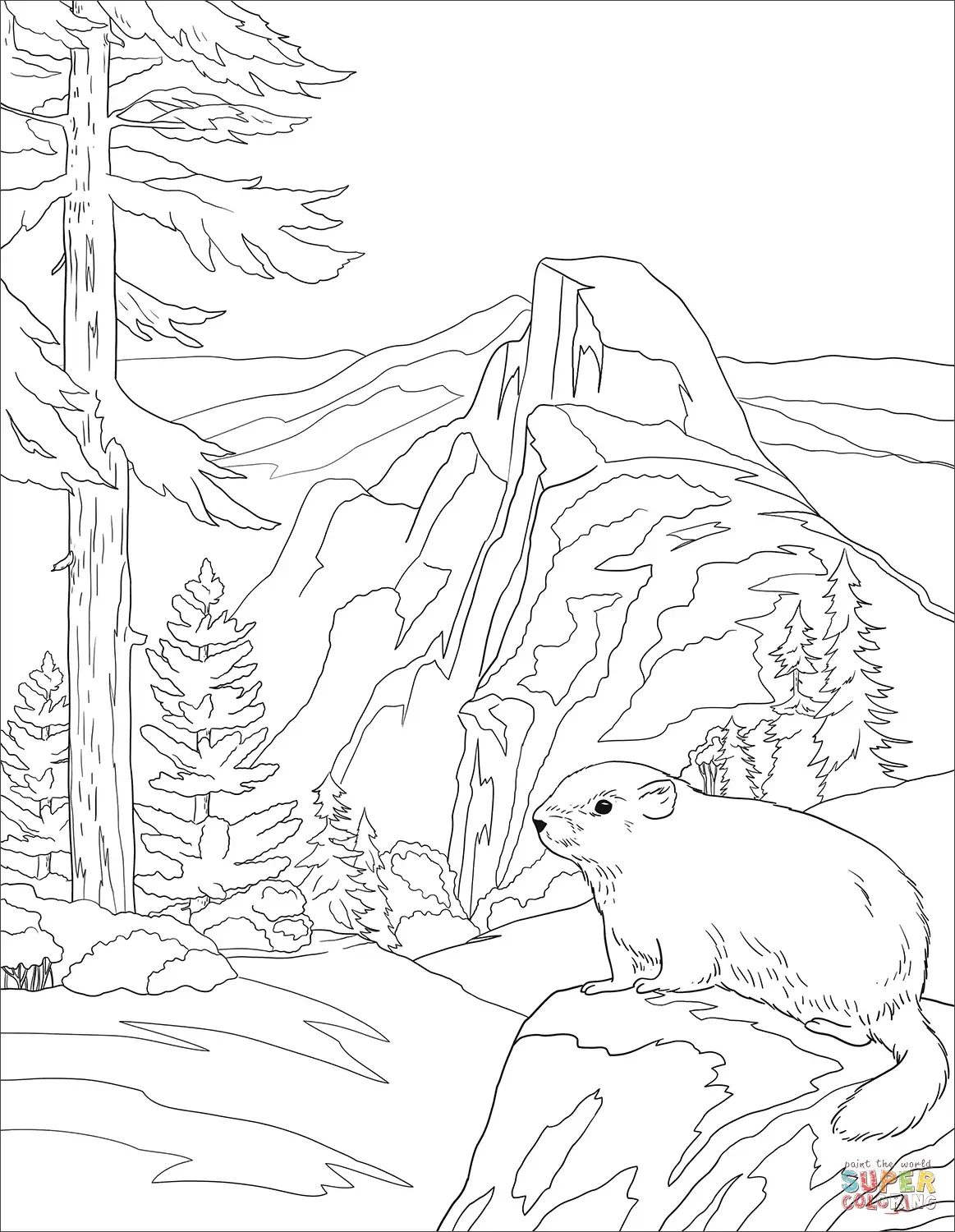 Раскраска жители леса