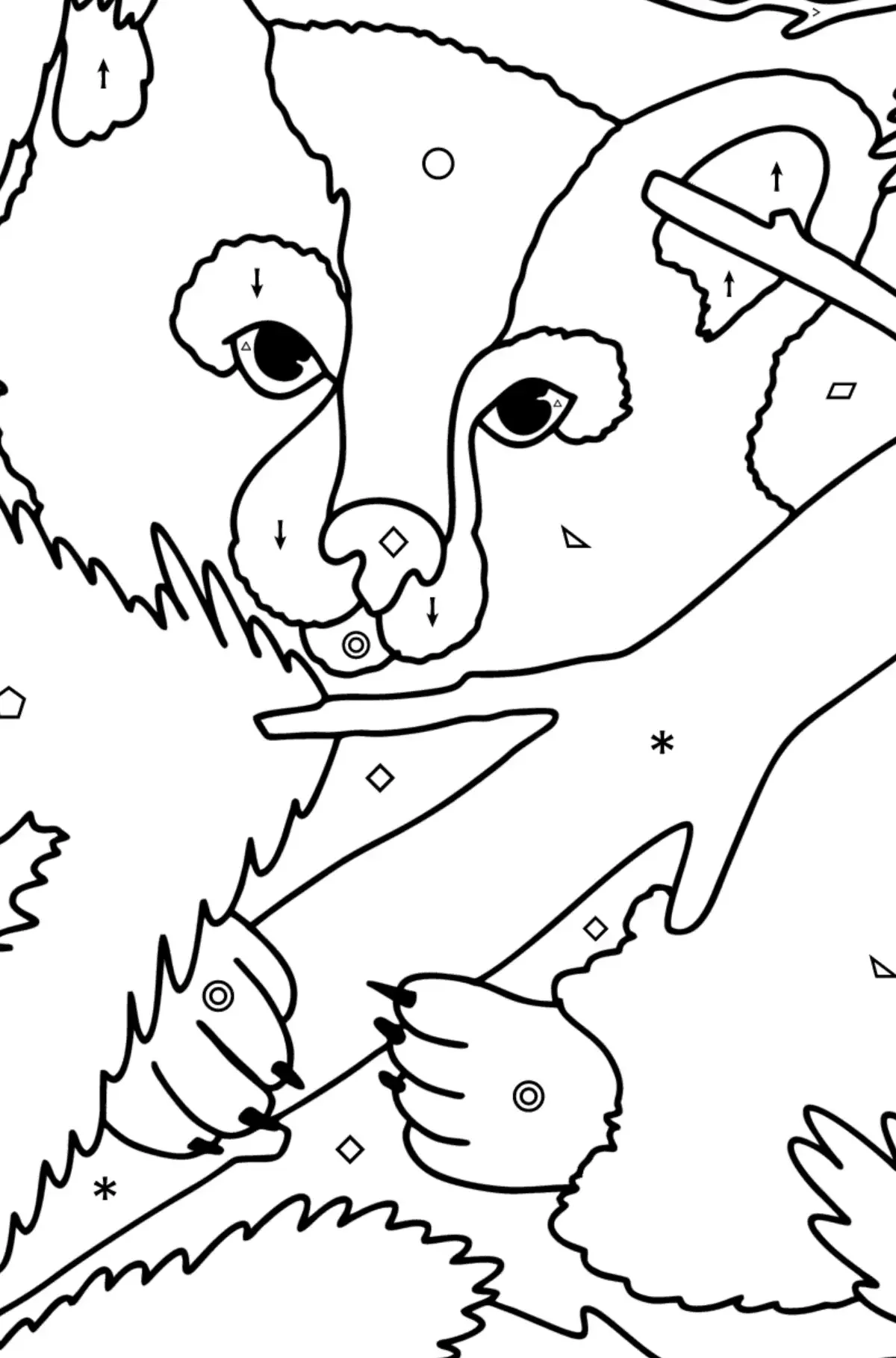 Паустовский дремучий медведь раскраска