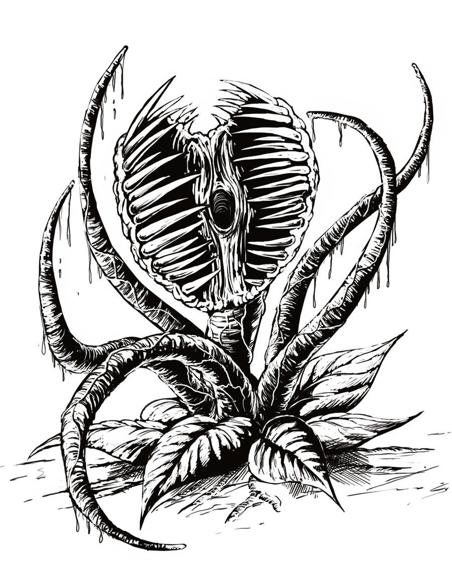 Венерина мухоловка Графика