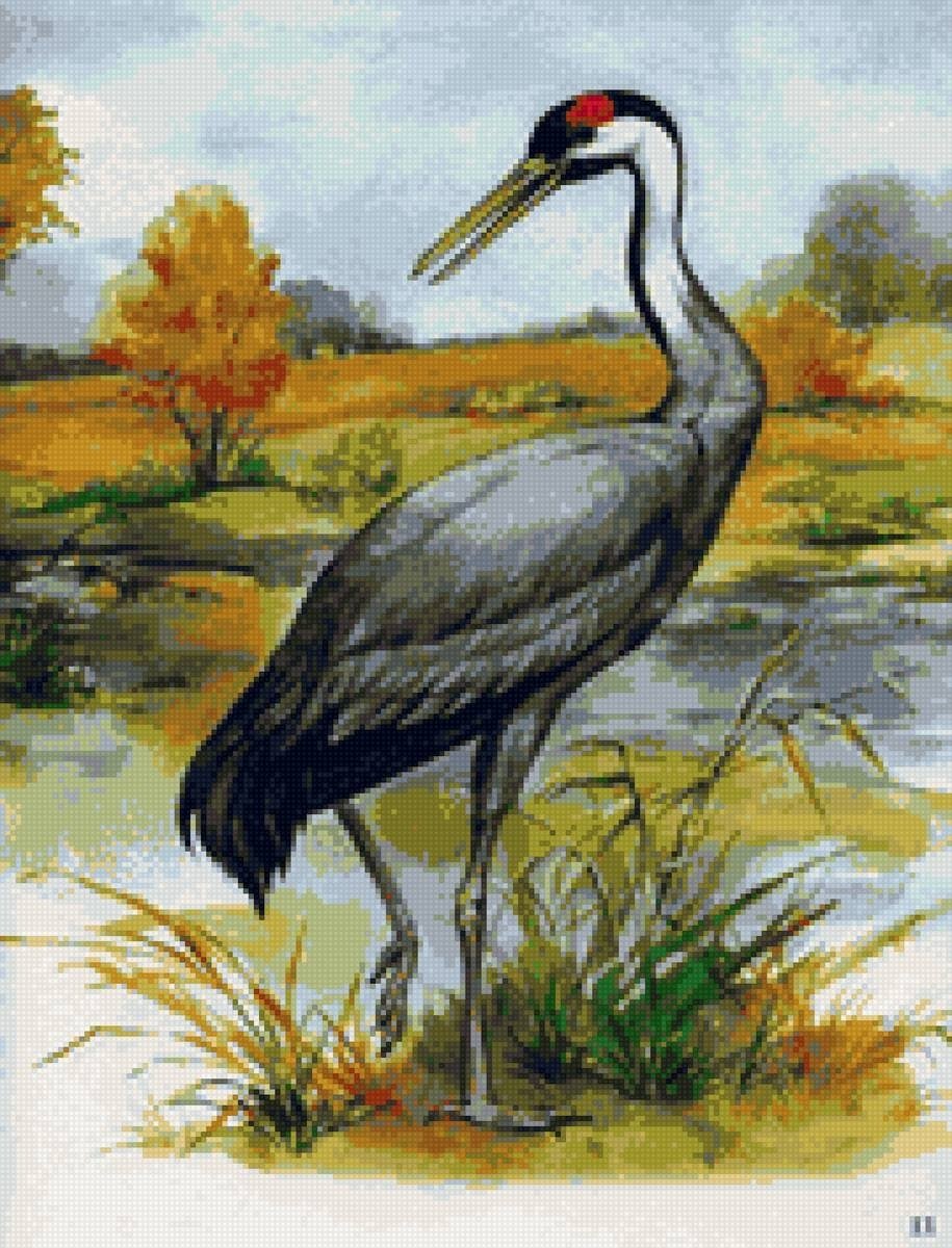 Выскочка раскраска