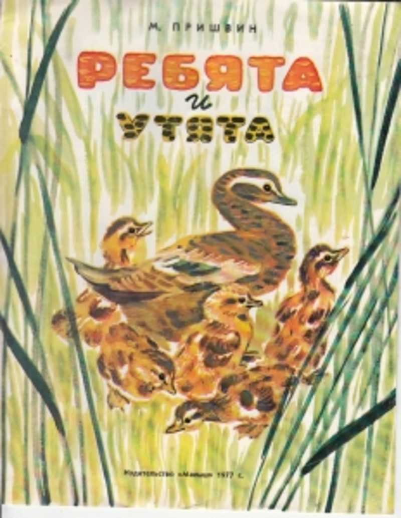 Уточки на озере рисунок