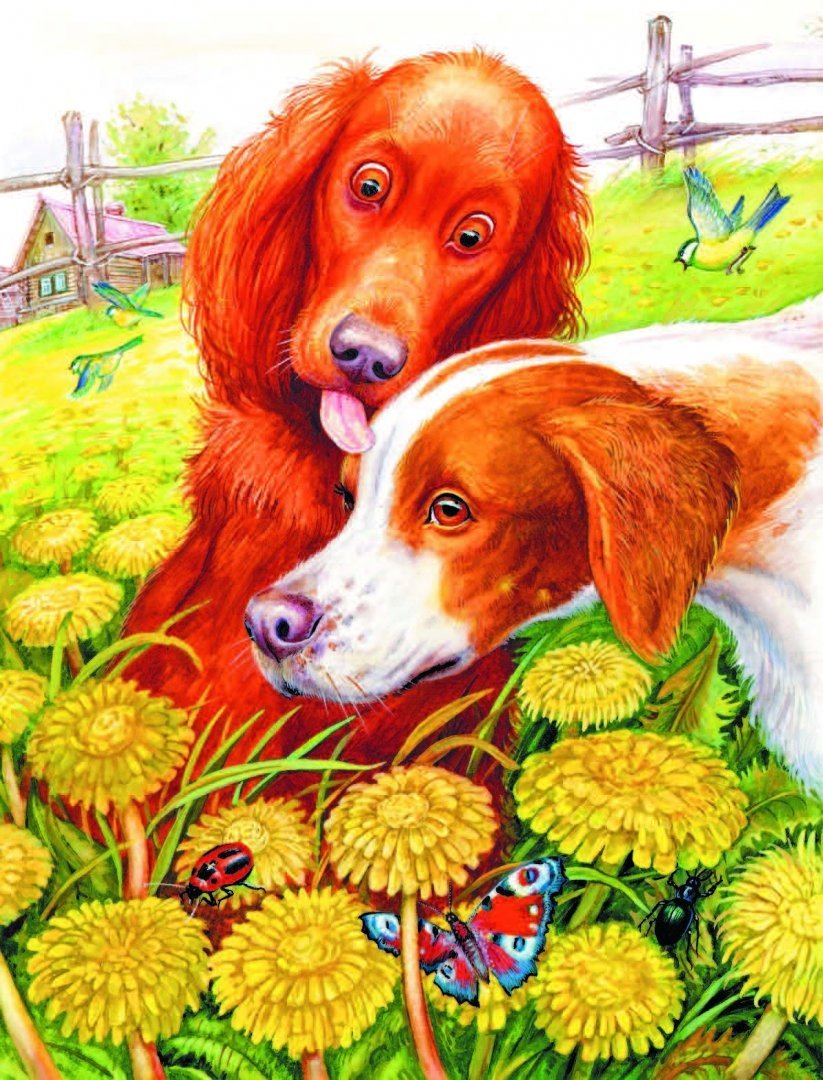 Утка хромка пришвин