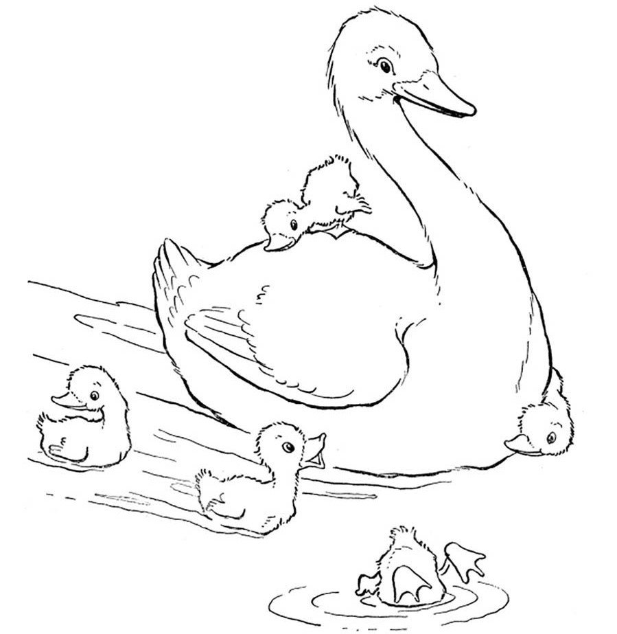 Пришвин изобретатель иллюстрации