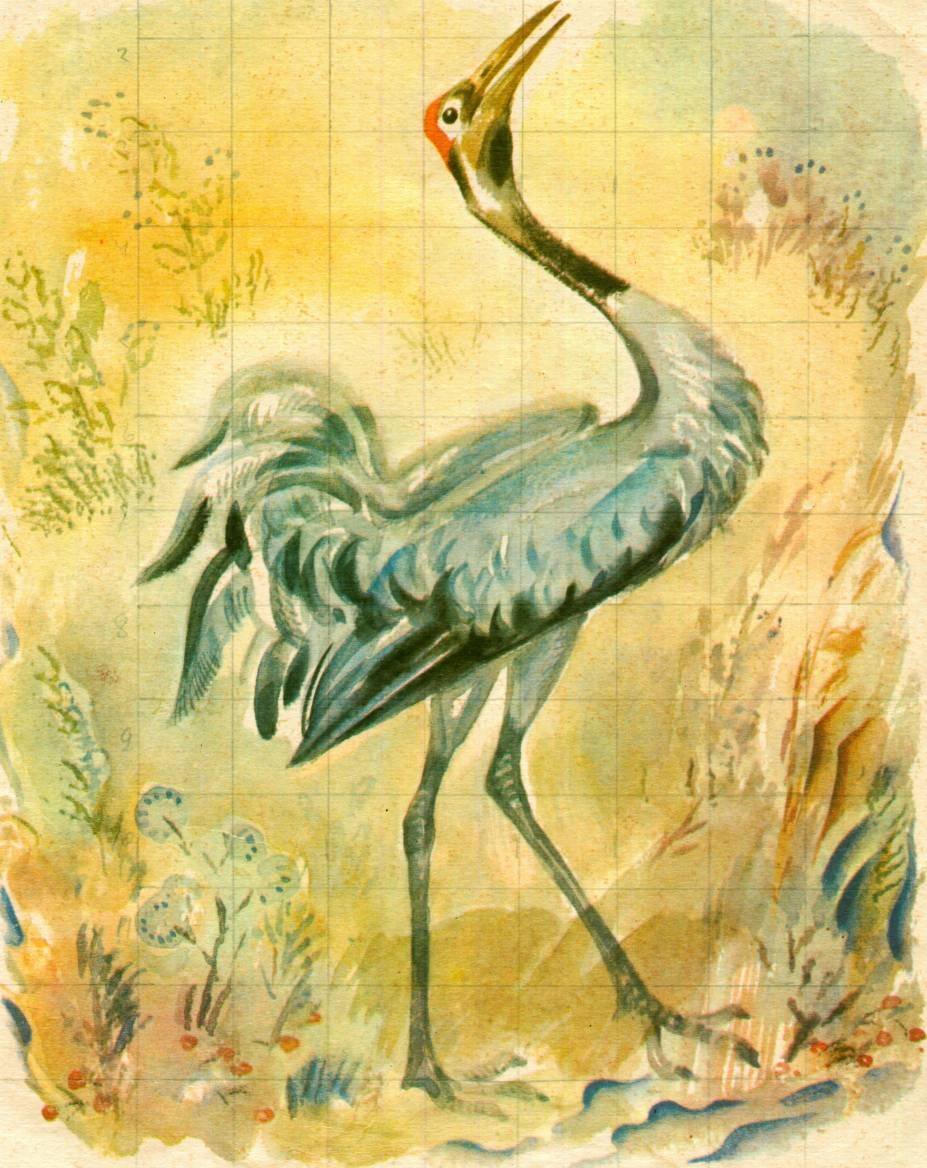 Кладовая солнца болото Митраша