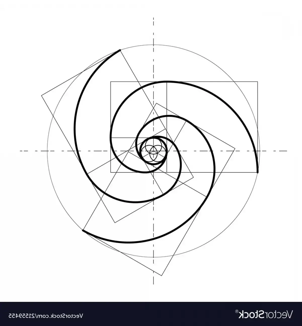 Спираль золотого сечения вектор