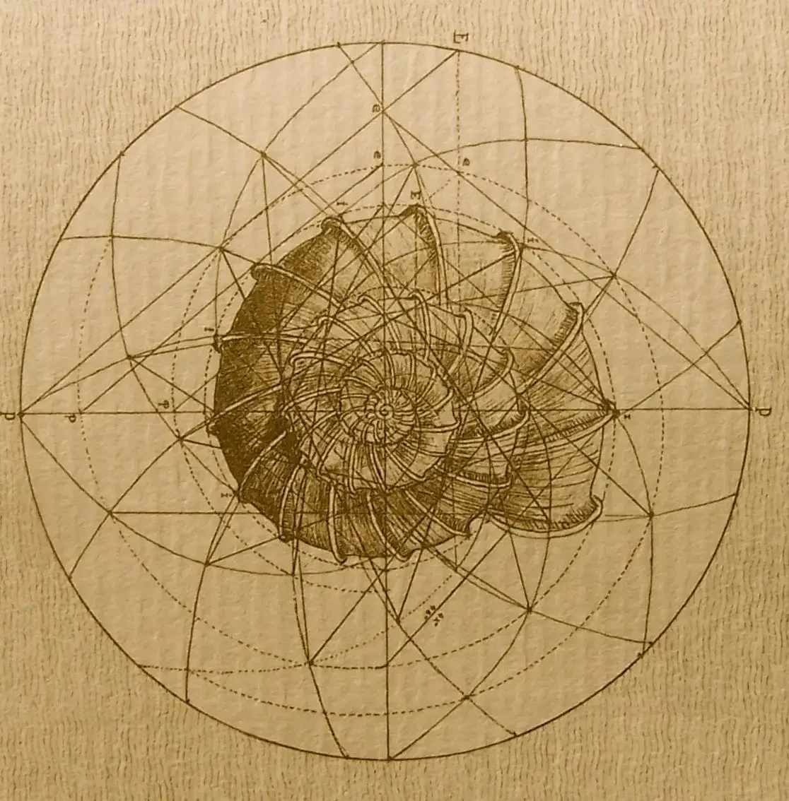 Леонардо да Винчи Сакральная геометрия