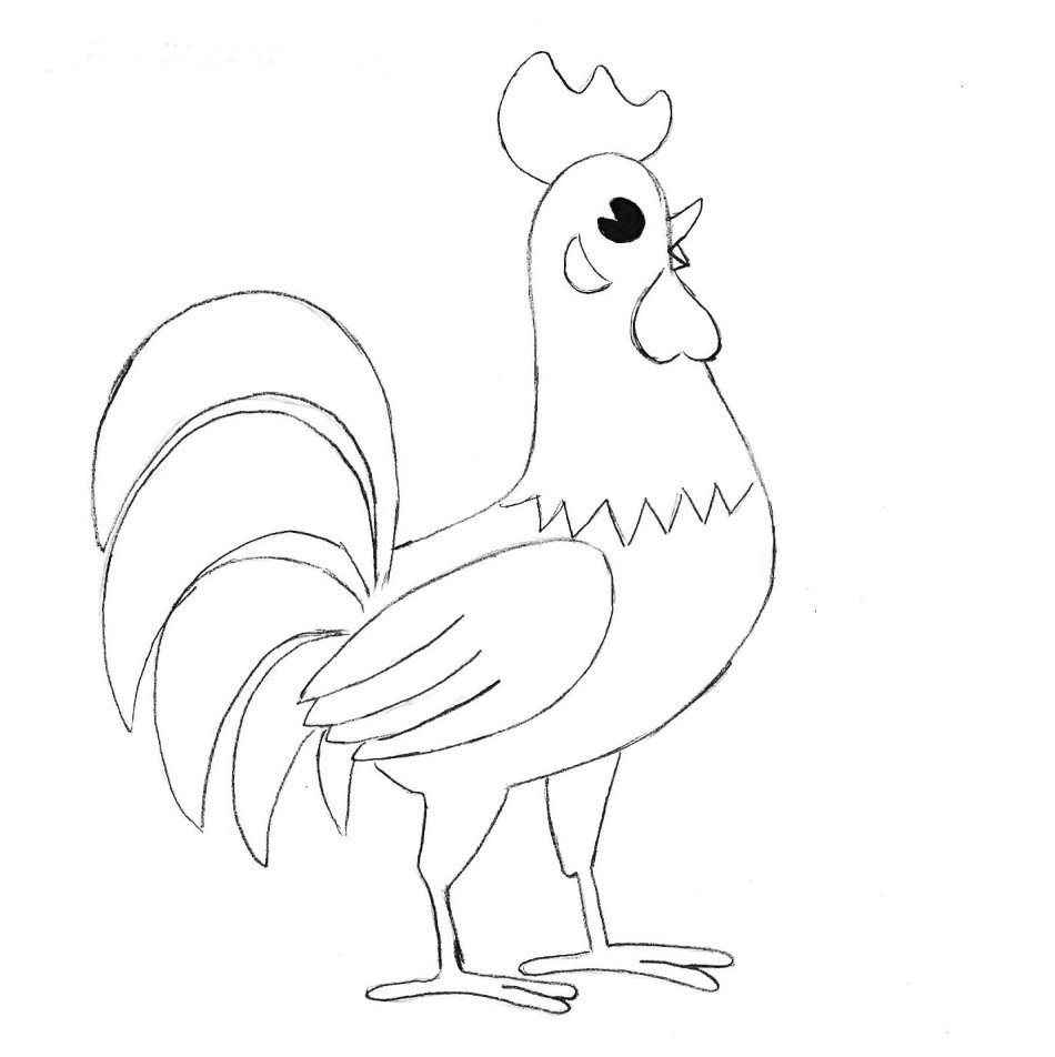 Петух на заборе рисунок карандашом