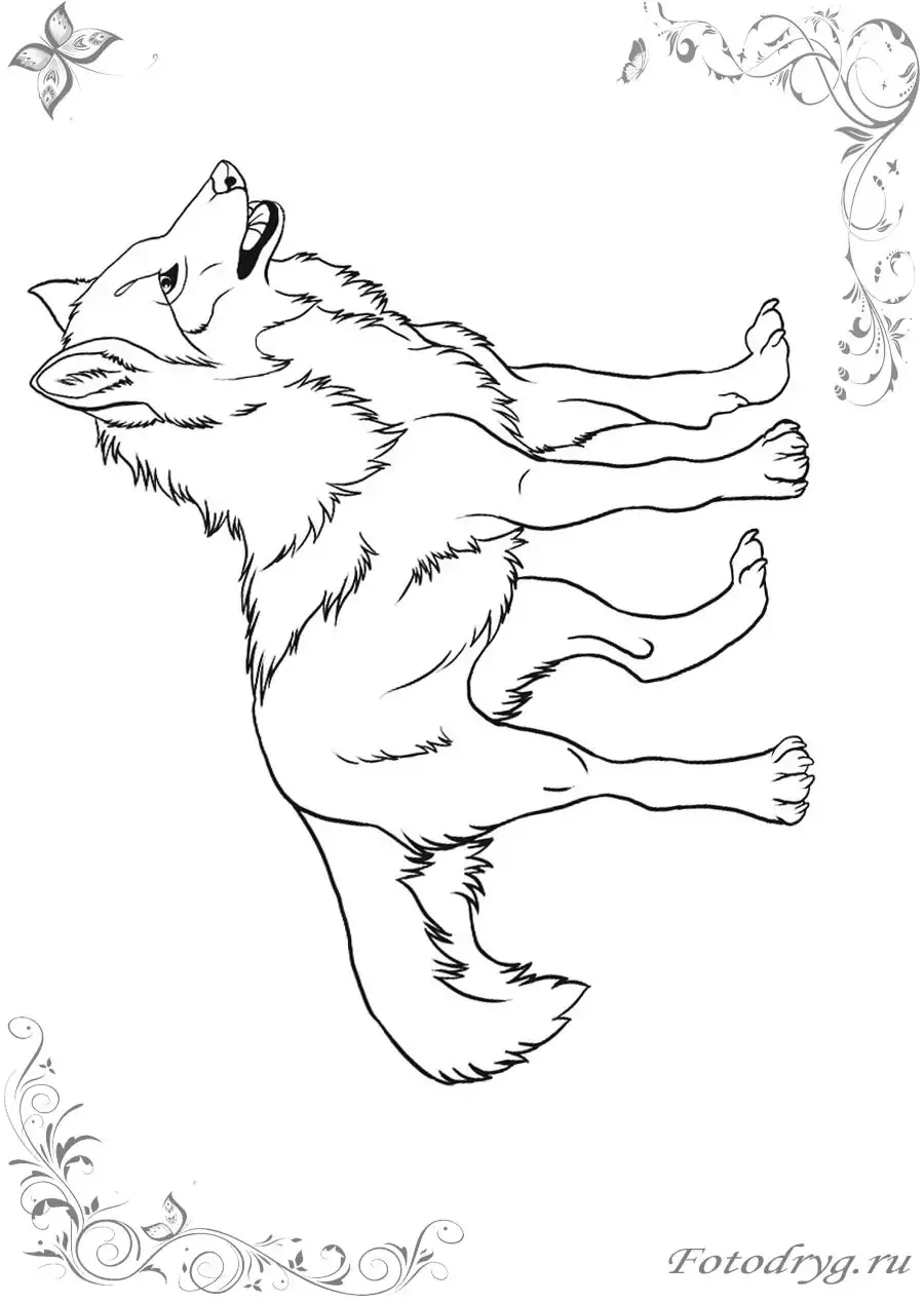 Иван Царевич и серый волк Кощей