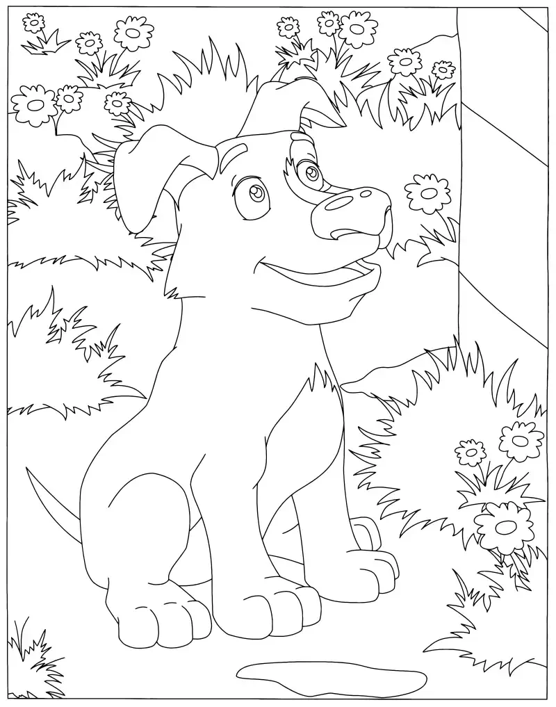 Раскраска Миядзаки принцесса Мононоке