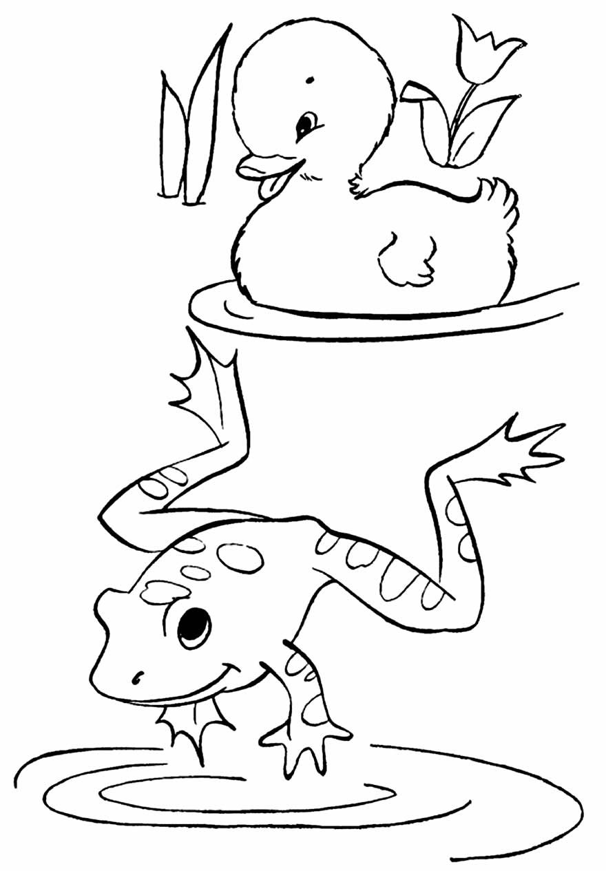 Рисунок на тему жаба и роза