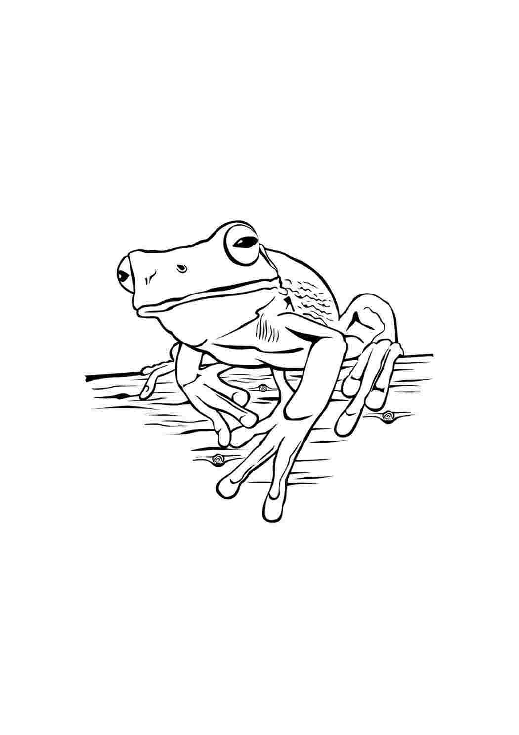 Две лягушки пантелеев раскраска