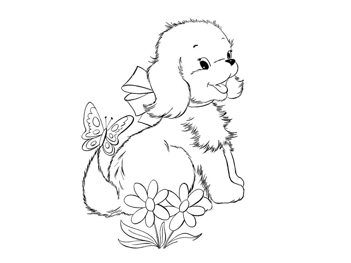 Раскраска "собаки"