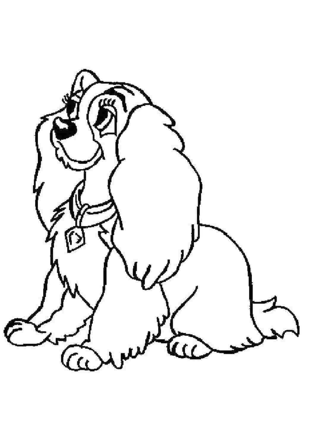 Разукрашка Щенячий патруль Скай