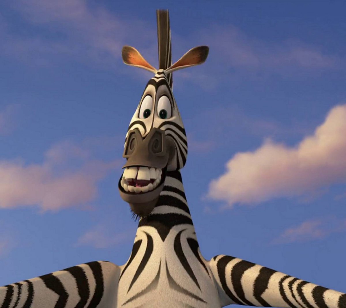 Зебра для раскрашивания без полосок