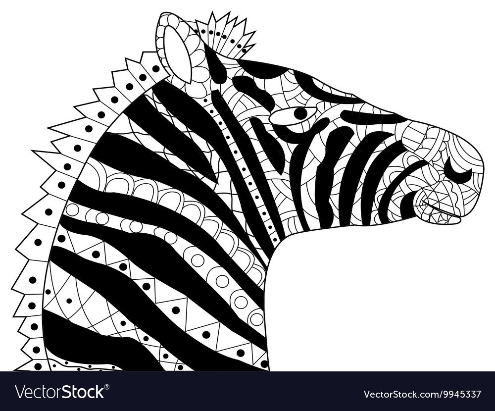 Мадагаскар Зебра с камерой