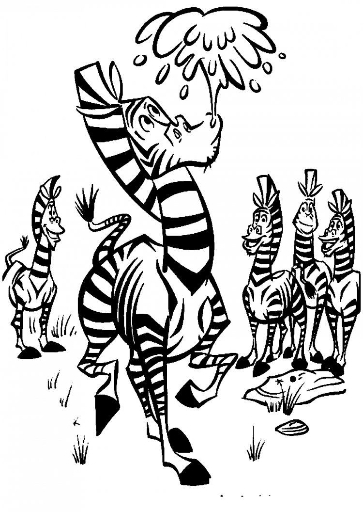 Зебра Марти из Мадагаскара