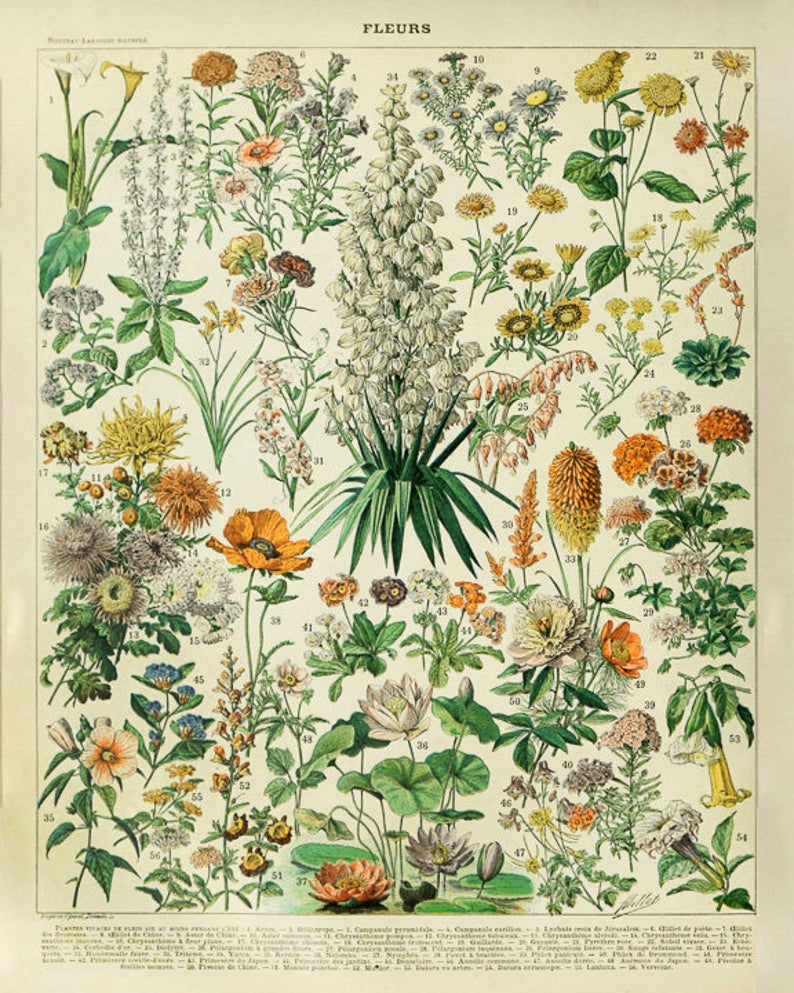 Растения Винтаж