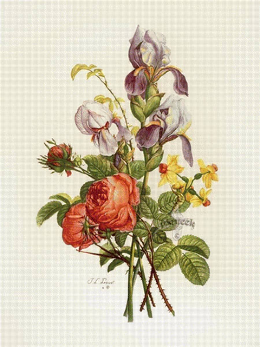 Винтажные плакаты растения