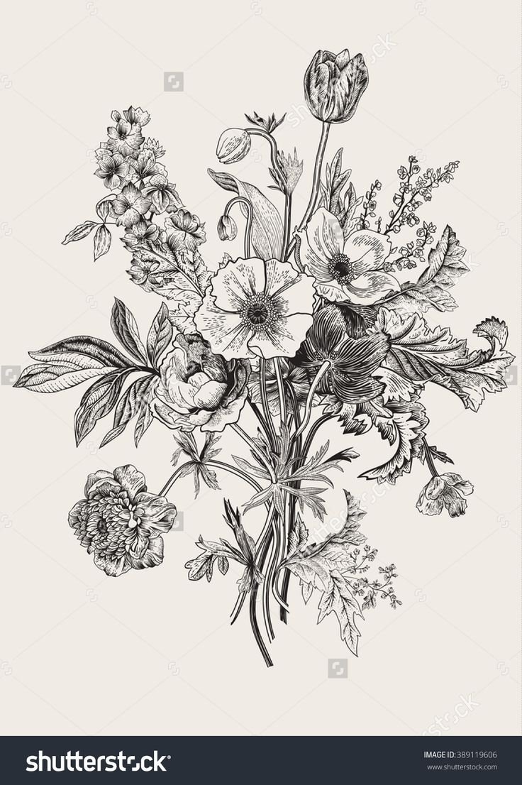 Дюрер ботаника