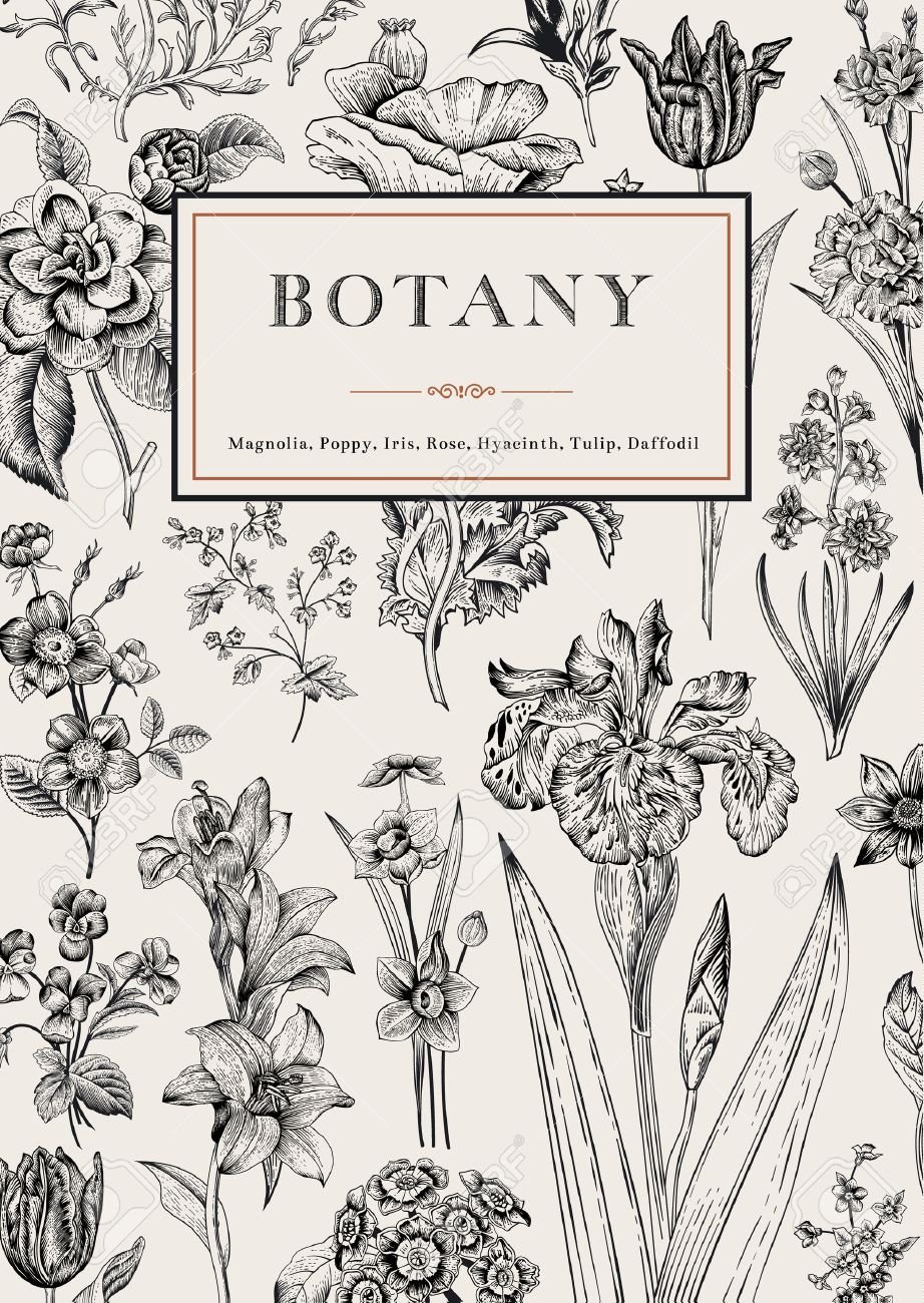 Elizabeth Twining Botanical Prints