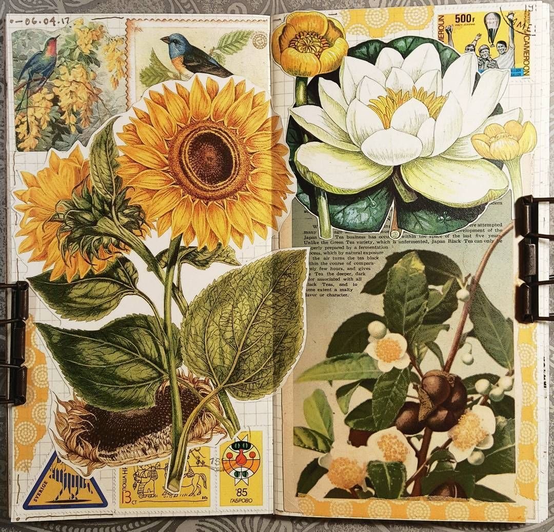 Декупаж Винтажная ботаника