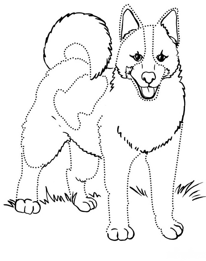 Семья собак раскраска