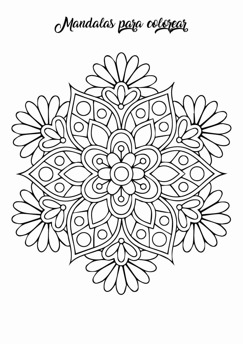 Цветы уголком антистресс