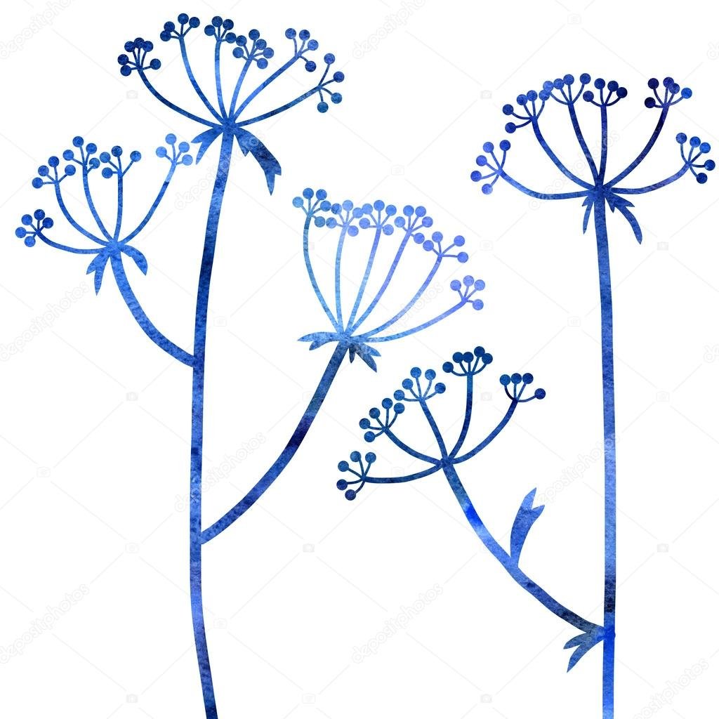 Борщевик Ботаническая