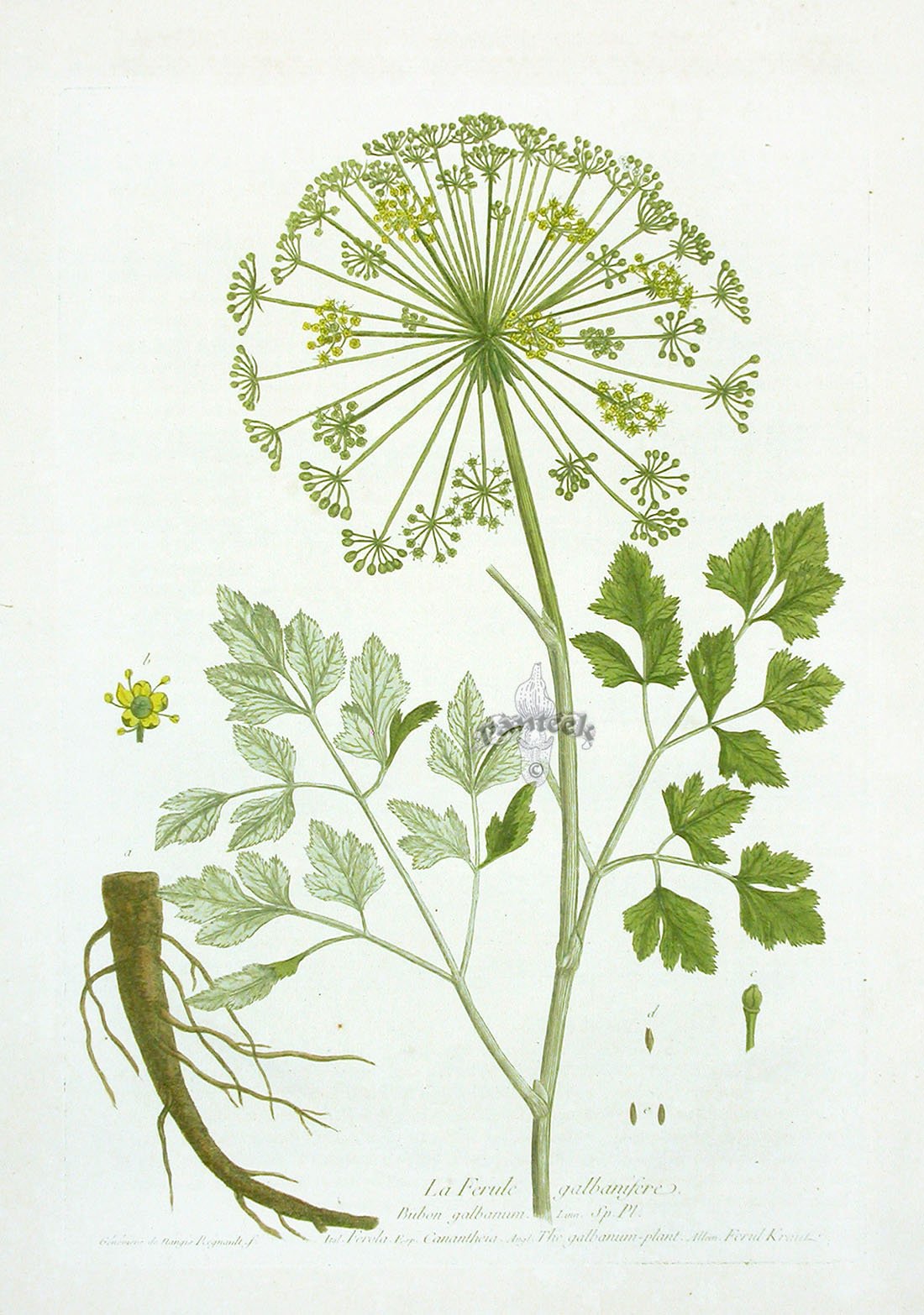 Стилизованная растительность