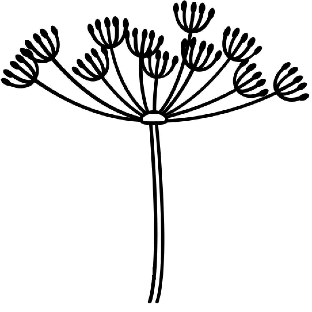 Силуэты трав борщевик