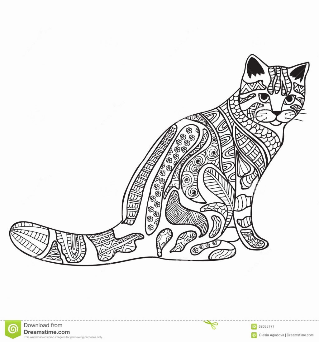 Эмоции кошки рисунок