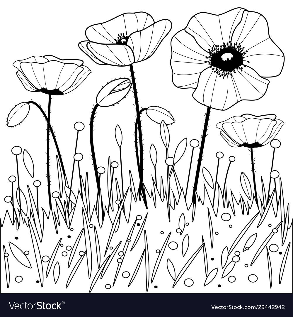 Цветы. Раскраска
