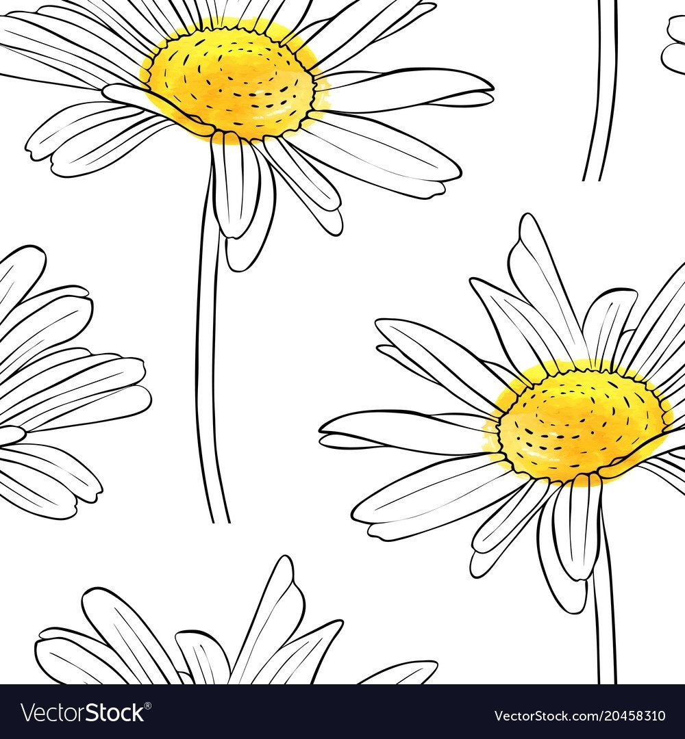 Раскраска цветы в поле