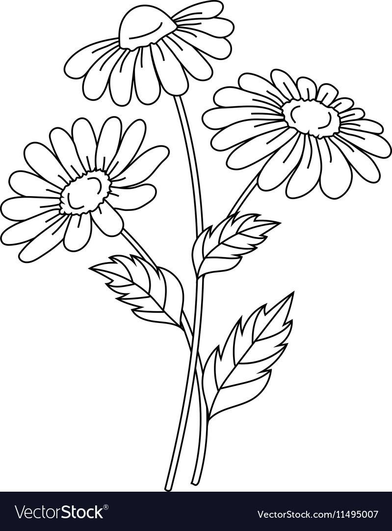 Поля контур рисунок без фона