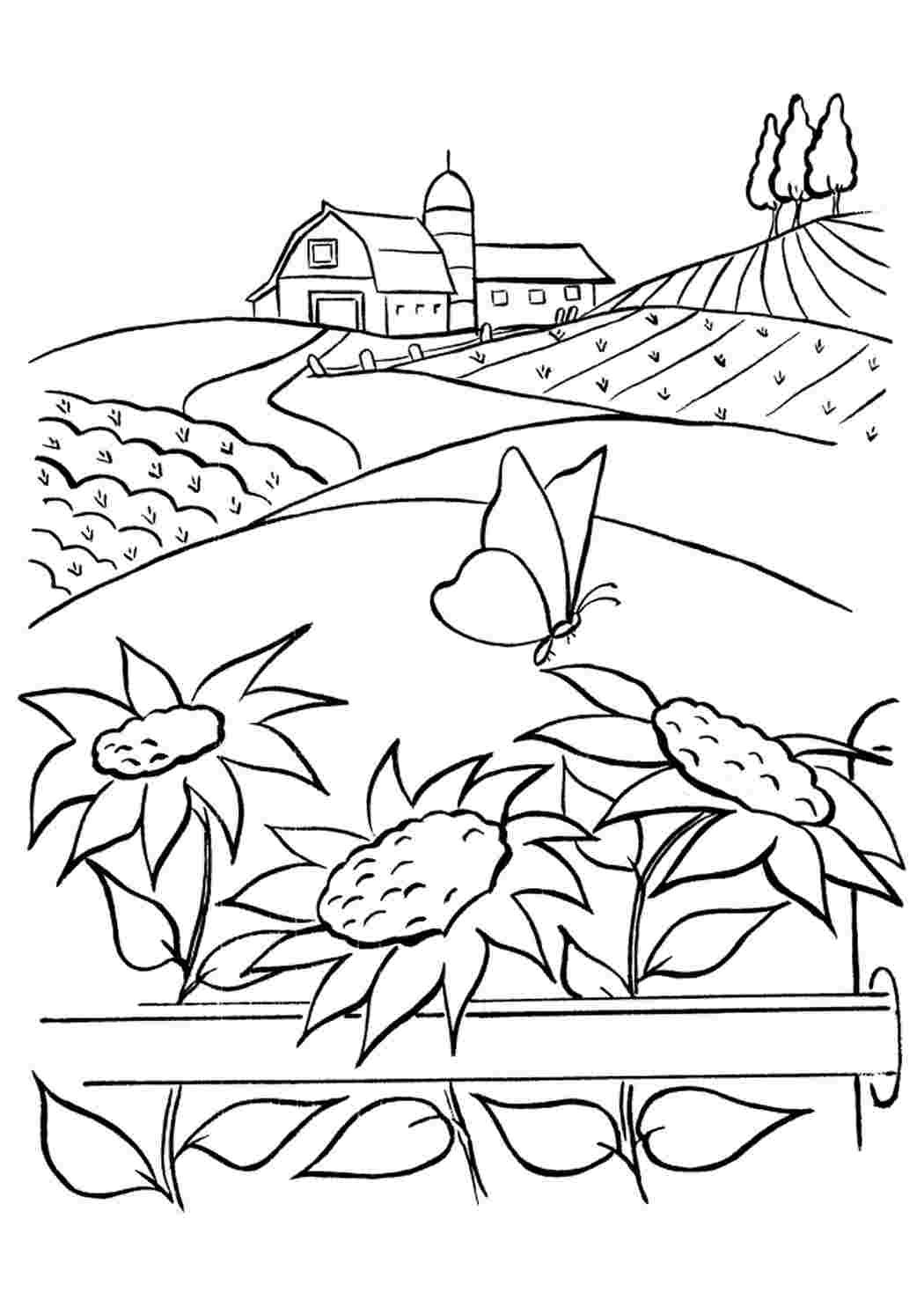 Раскраска природа