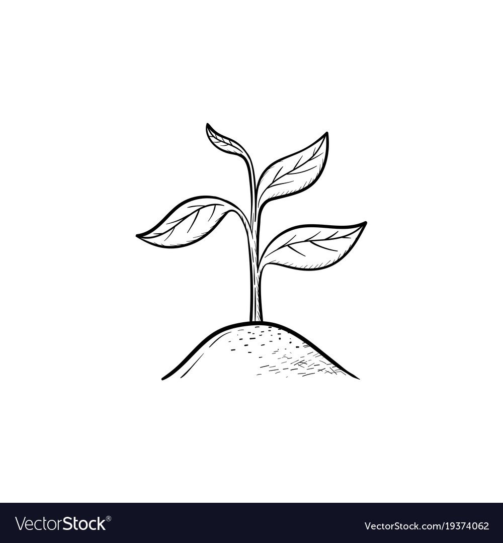 Раскраски наш мир для детей