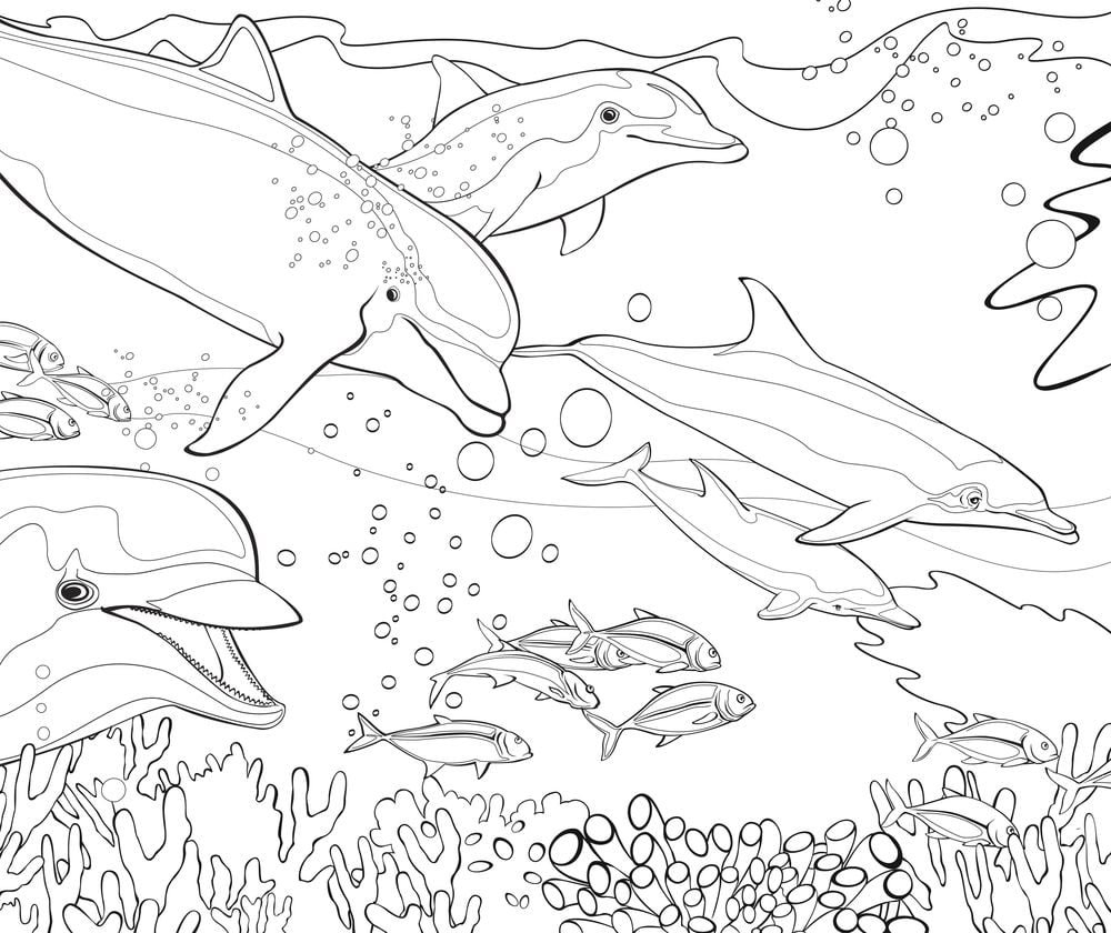 Амазонский Дельфин раскраска