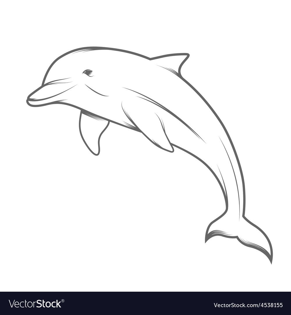 Дельфин рисунок для раскрашивания