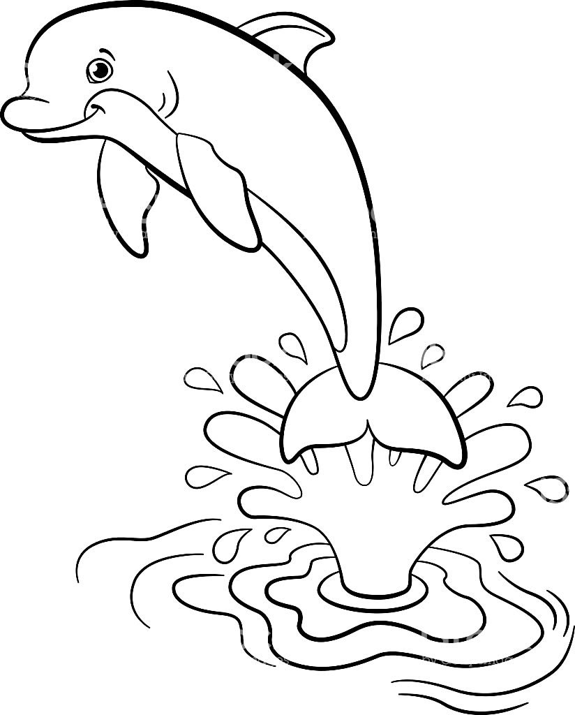 Афалина раскраска