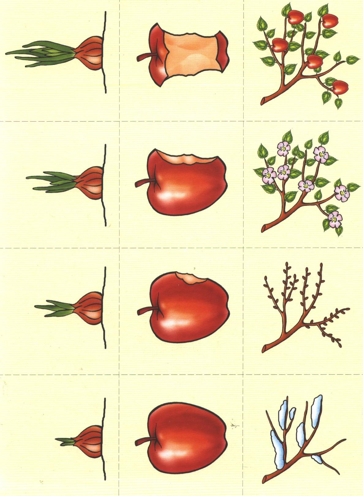 Игра логическая цепочка для детей