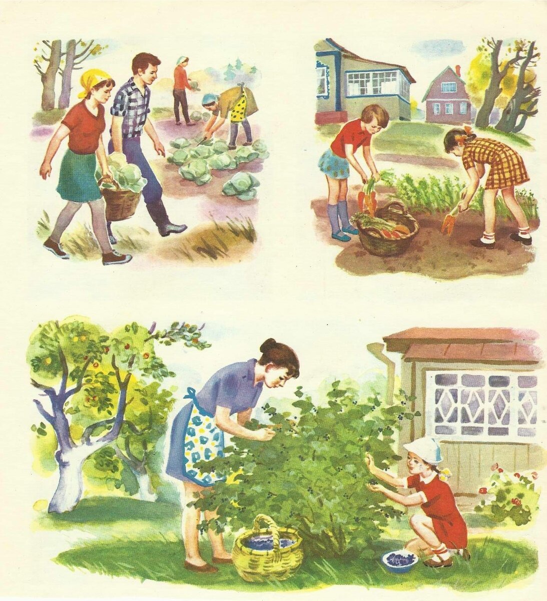 Сюжетные картинки