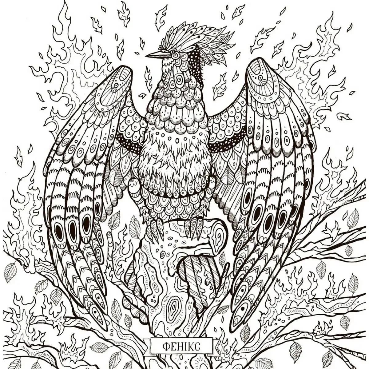Феникс антистресс разукрашка