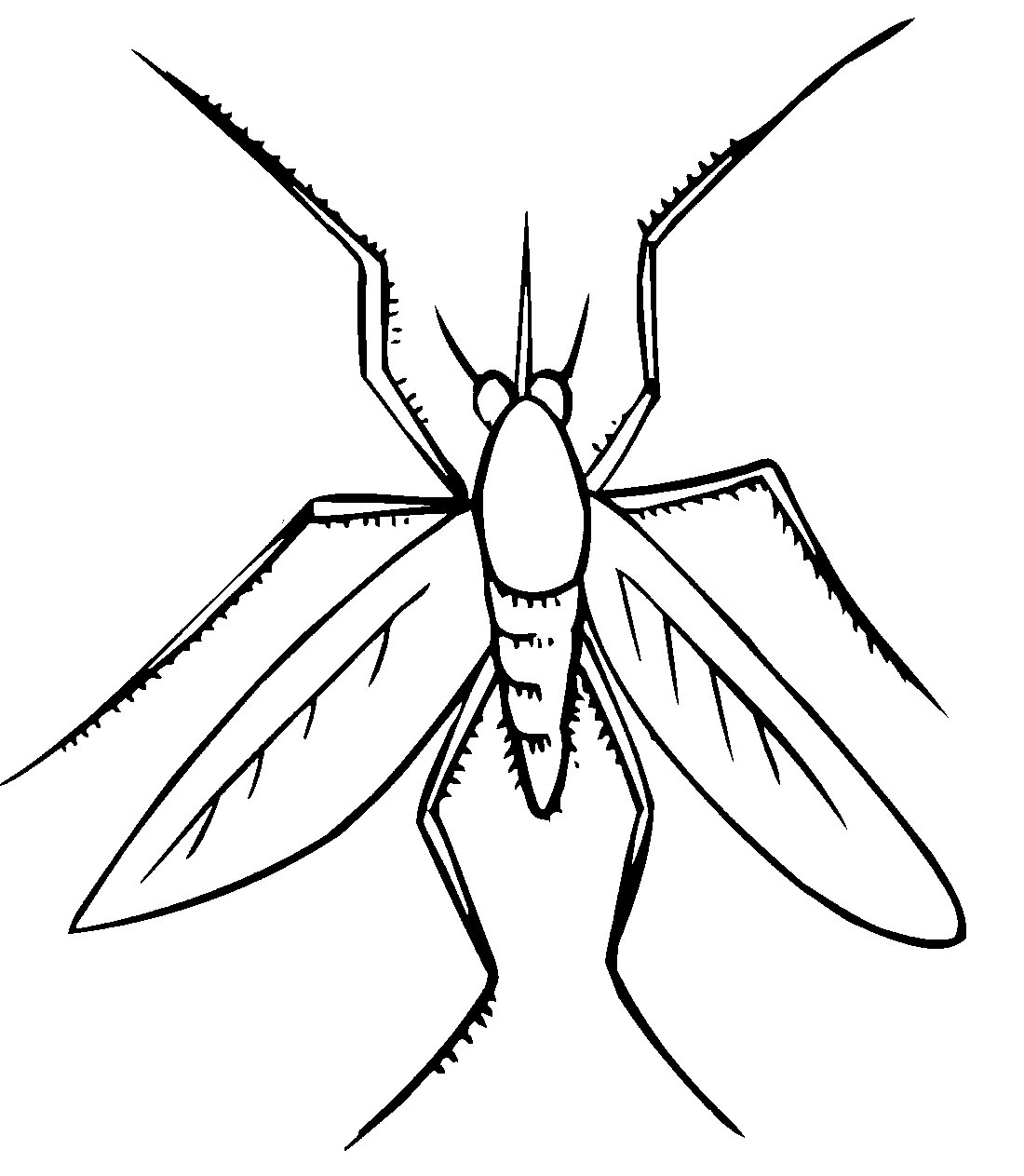 Комар каким цветом раскрасить