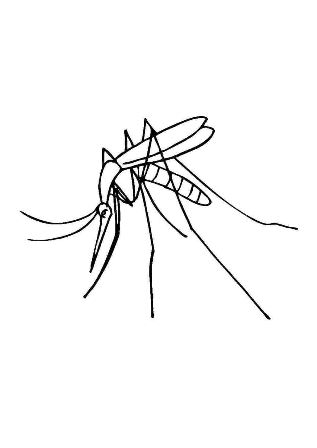 Комар распечатать