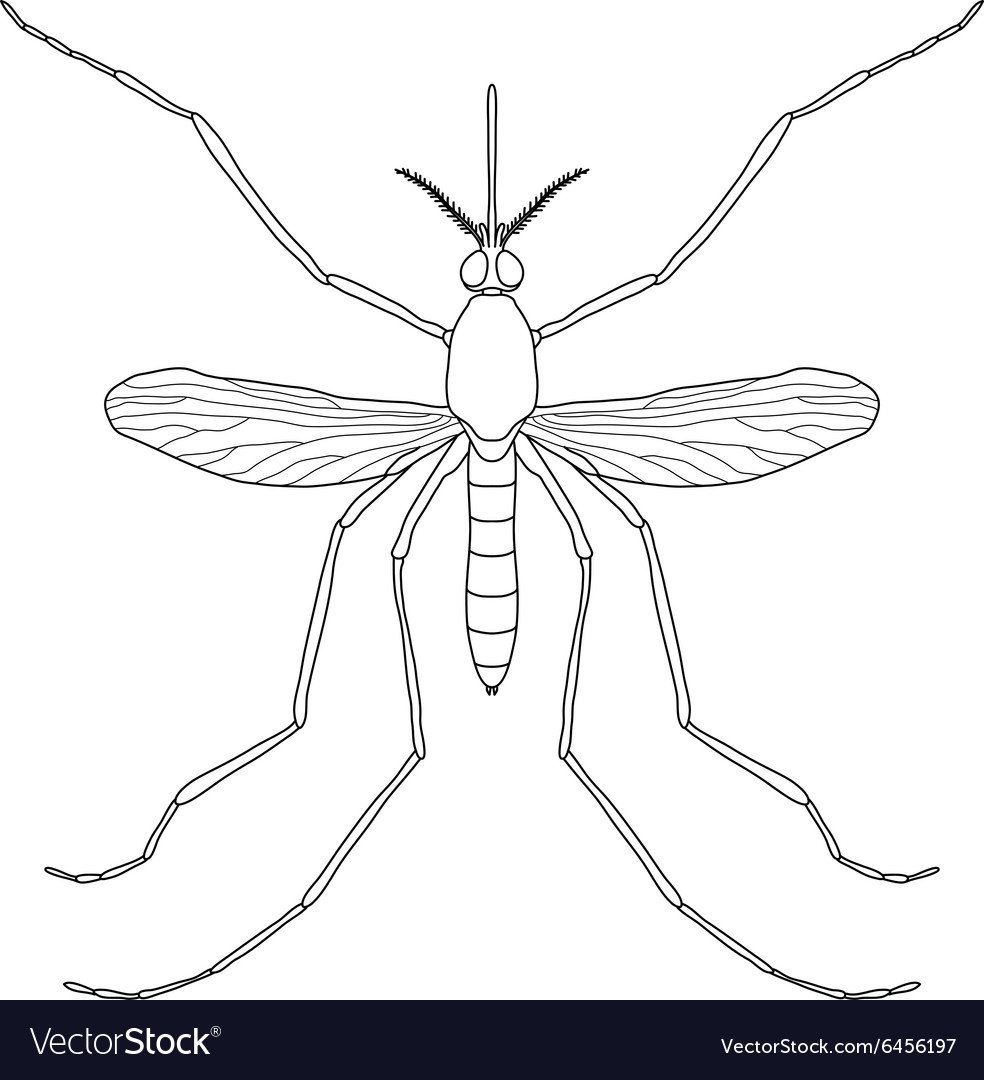 Комарик раскраска для детей