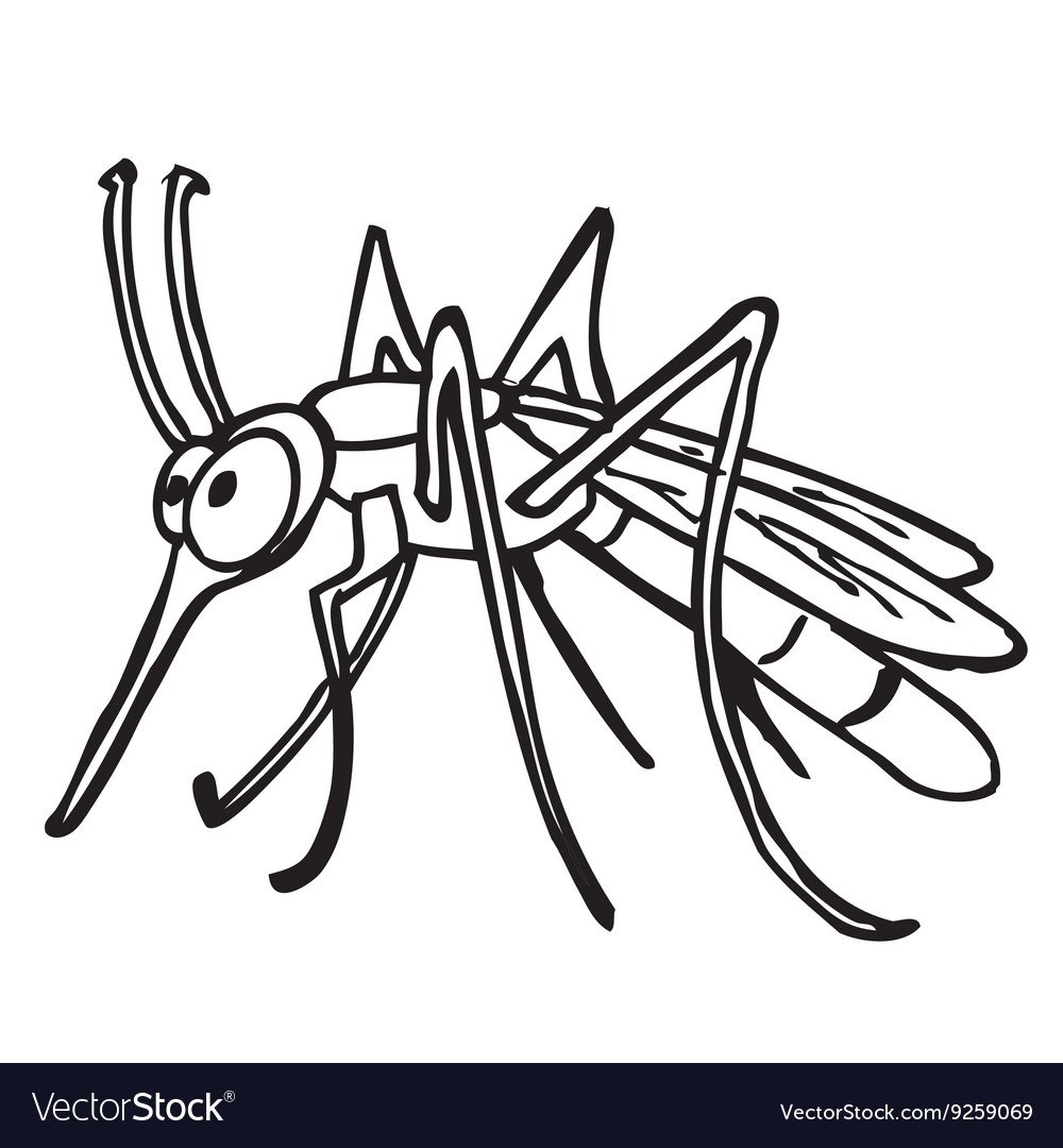 Комар черная белая картинка к загадке