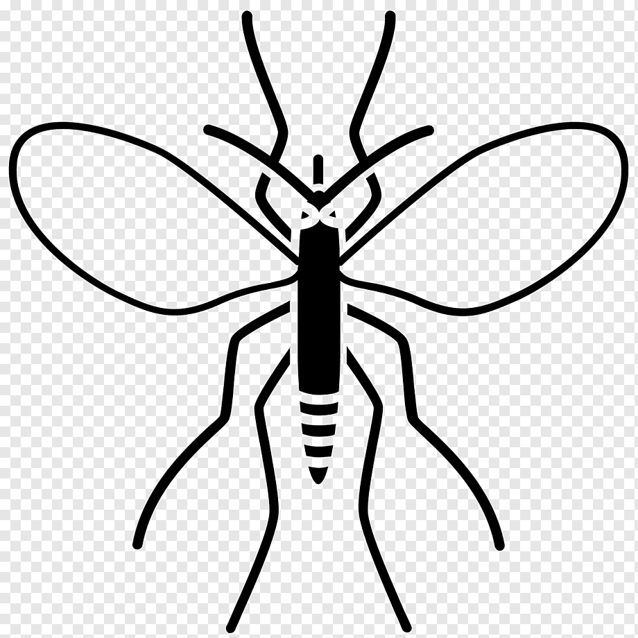 Клоп Водомерка раскраска