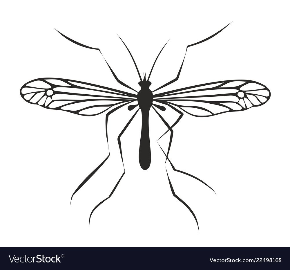 Комар рисунок детский тату