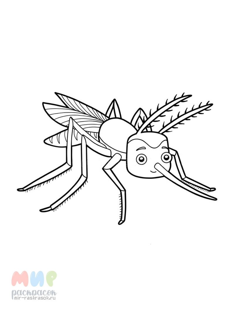 Комар раскраска для детей