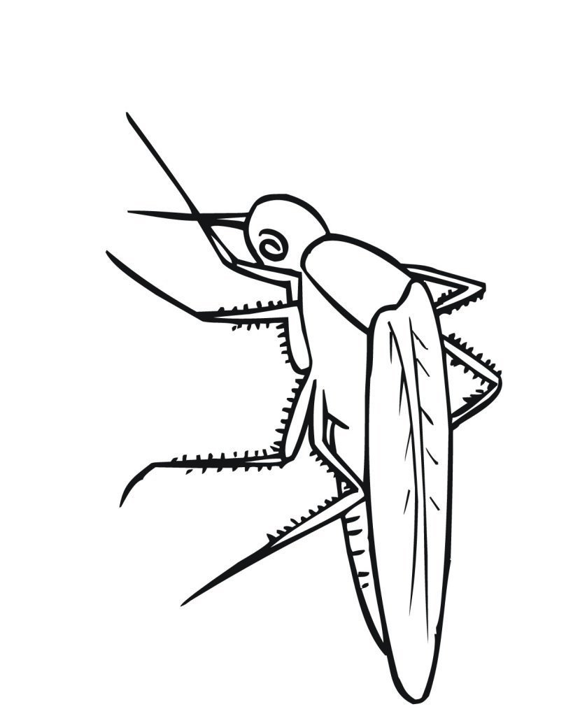 Комар раскраска для детей